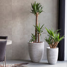 Vase Elegant Low Rib NL - Bostan Al Jazeera