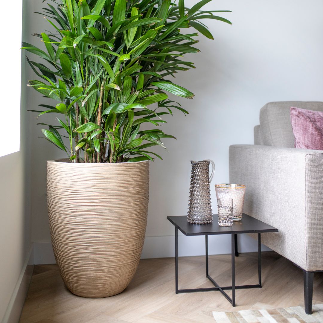 Vase Elegant Low Waste Rib NL - Bostan Al Jazeera