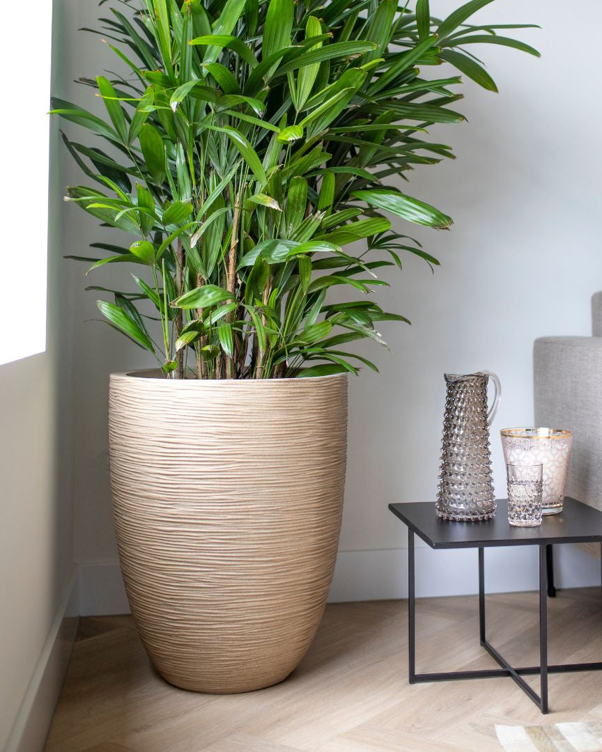 Vase Elegant Low Waste Rib NL - Bostan Al Jazeera