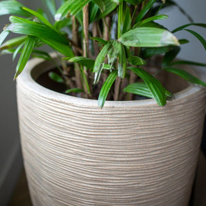 Vase Elegant Low Waste Rib NL - Bostan Al Jazeera