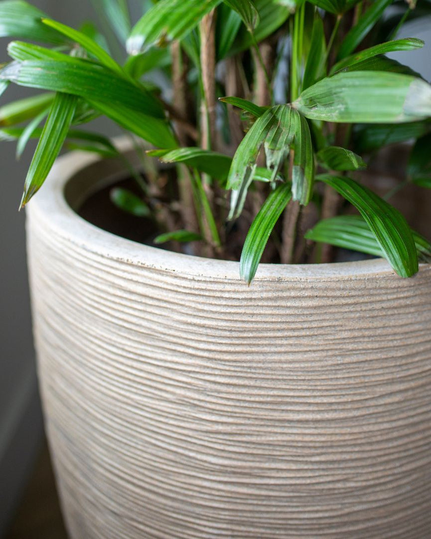 Vase Elegant Low Waste Rib NL - Bostan Al Jazeera