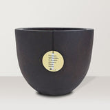 Grigio Egg Pot - Bostan Al Jazeera