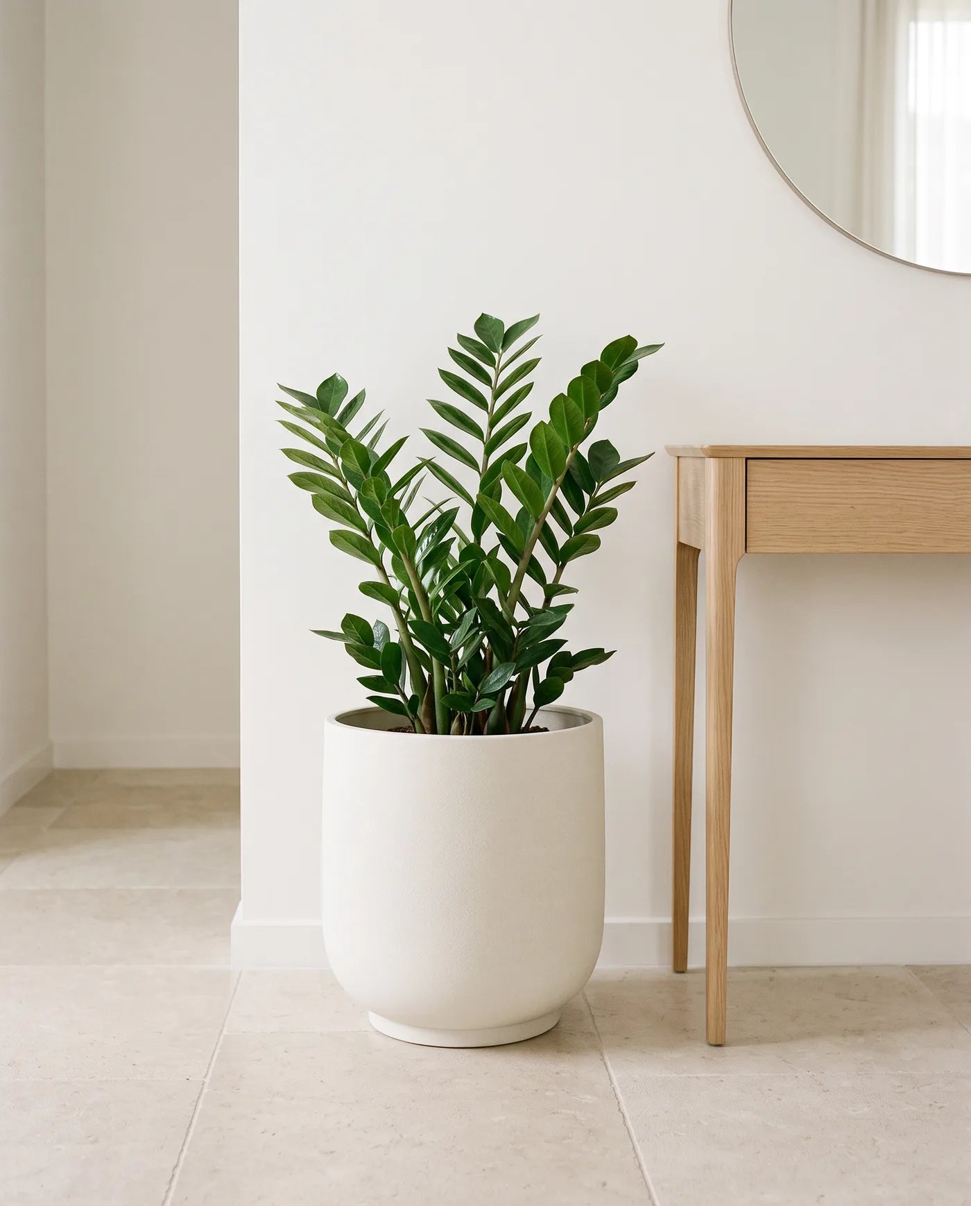 Classic Cream planter with a living plant in a bright, modern room