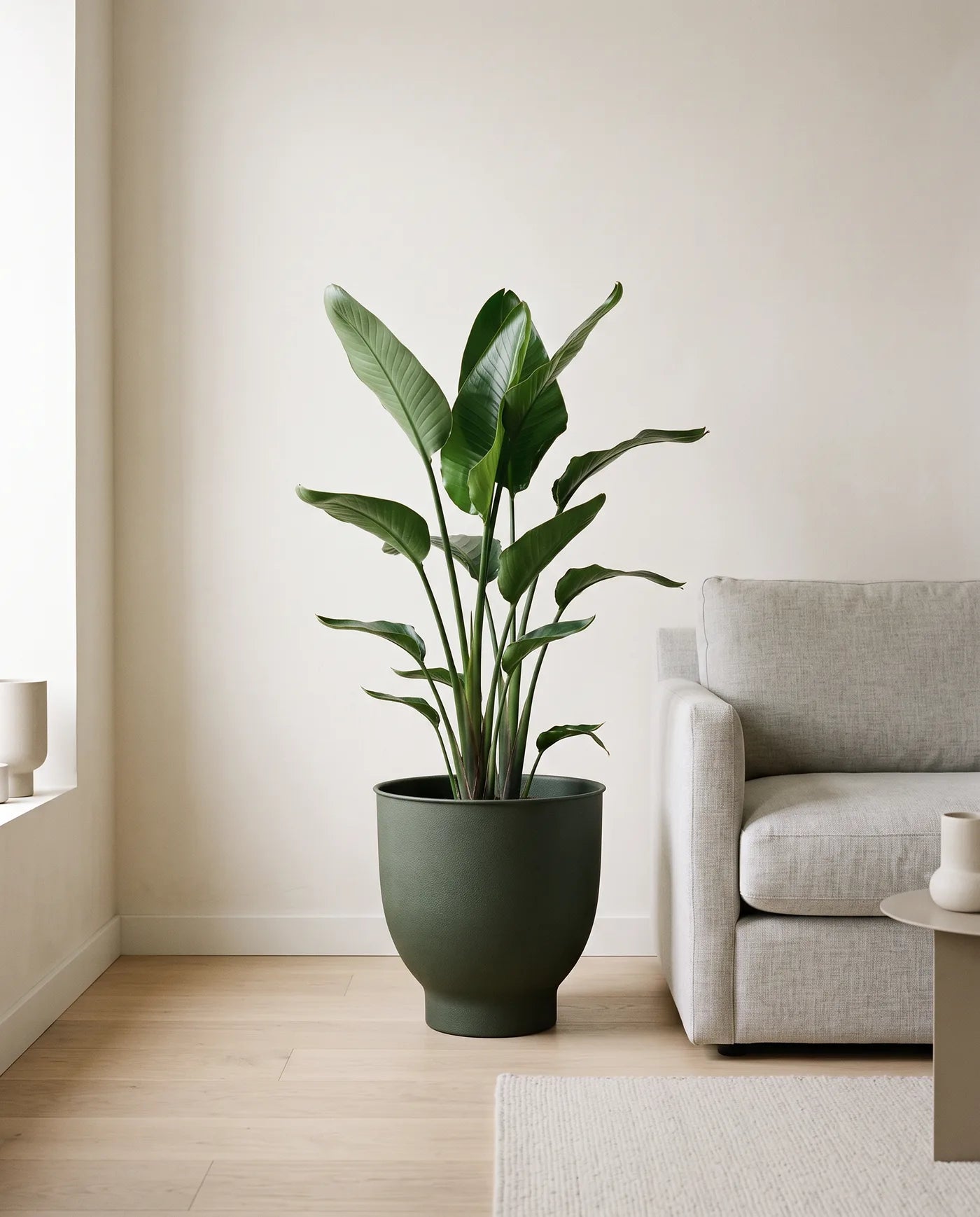 Leather Pedestal planter with a living plant in a bright, modern room